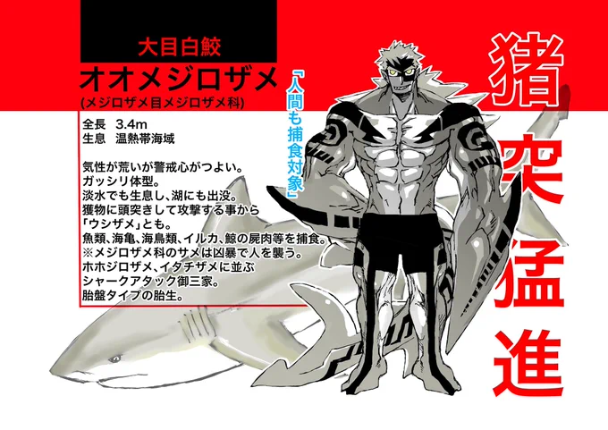 サメ軍擬人化⑦
ヤバイサメさん達です。
オオメジロをもっといかつくしたかったので上げ直し

#稲羽事変
#サメ 
