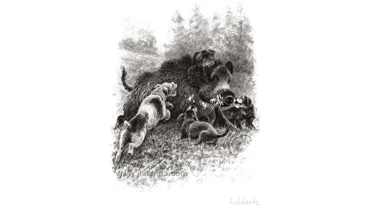 A veces, los pequeños fox terrier, jagd terrier y teckel tienen más arrojo en un agarre que razas mucho más grandes.

"Agarre de teckel", 2001

Litografía disponible en jlalanda.com

#Caza #Hunting #cochino #jabali #wildboar #artistsontwitter #arte #art
#josechulalanda