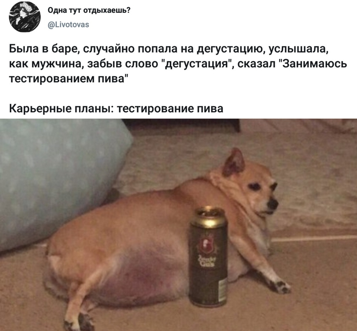 Веселье да упаду - 3 - Страница 49 EL_O3R1WsAARc57?format=jpg&name=medium