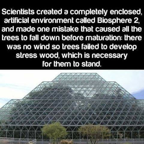FavreauForestry's tweet photo. Food for thought... https://t.co/Izjq1r53gD