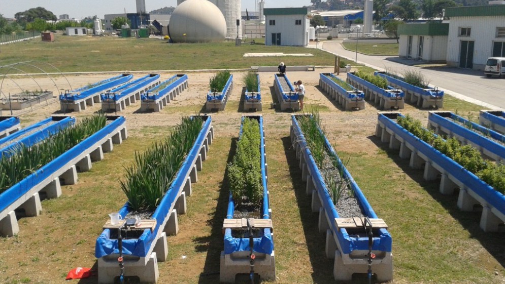 CONICETLaPlata's tweet photo. Residuos orgánicos, una herramienta útil para lograr ríos y arroyos menos contaminados. Un investigador del @CONICETLaPlata comprobó la eficacia de un subproducto de la industria cervecera y el descarte de las podas para depurar el agua. Enterate: https://t.co/bCG8u7Ss5I #LaPlata https://t.co/EPXyGmbd4R
