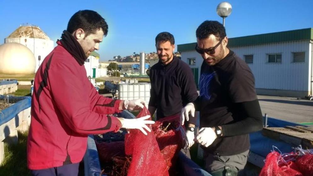 CONICETLaPlata's tweet photo. Residuos orgánicos, una herramienta útil para lograr ríos y arroyos menos contaminados. Un investigador del @CONICETLaPlata comprobó la eficacia de un subproducto de la industria cervecera y el descarte de las podas para depurar el agua. Enterate: https://t.co/bCG8u7Ss5I #LaPlata https://t.co/EPXyGmbd4R