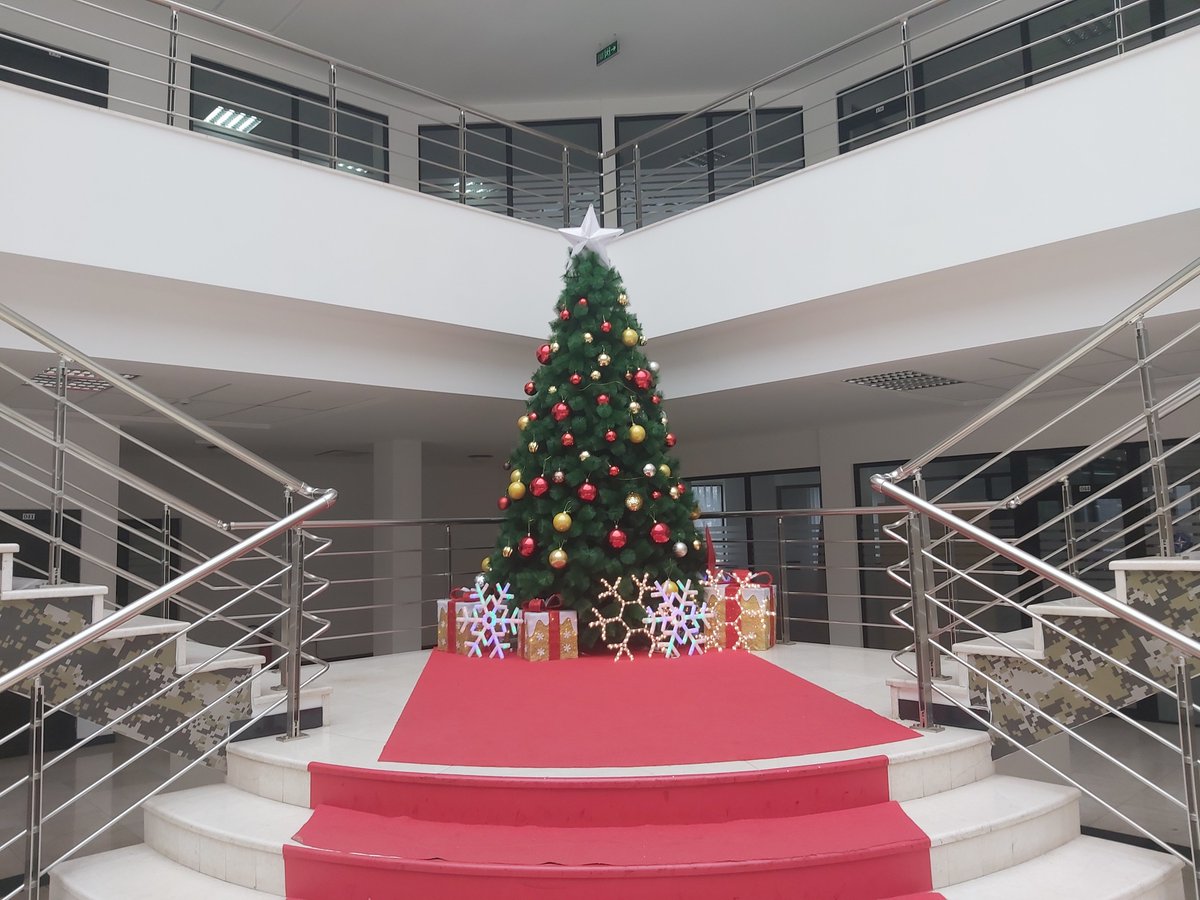 It's the Most Wonderful Time of the Year 🎅 A nice view from the entrance hall of #Kosovo MoD today.