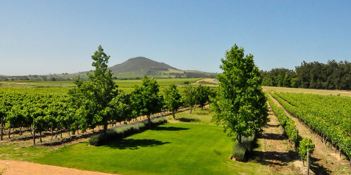 A lovely, cloudless day. Looks like it might be the last one we see this week, but we are not going to say no to the rain...