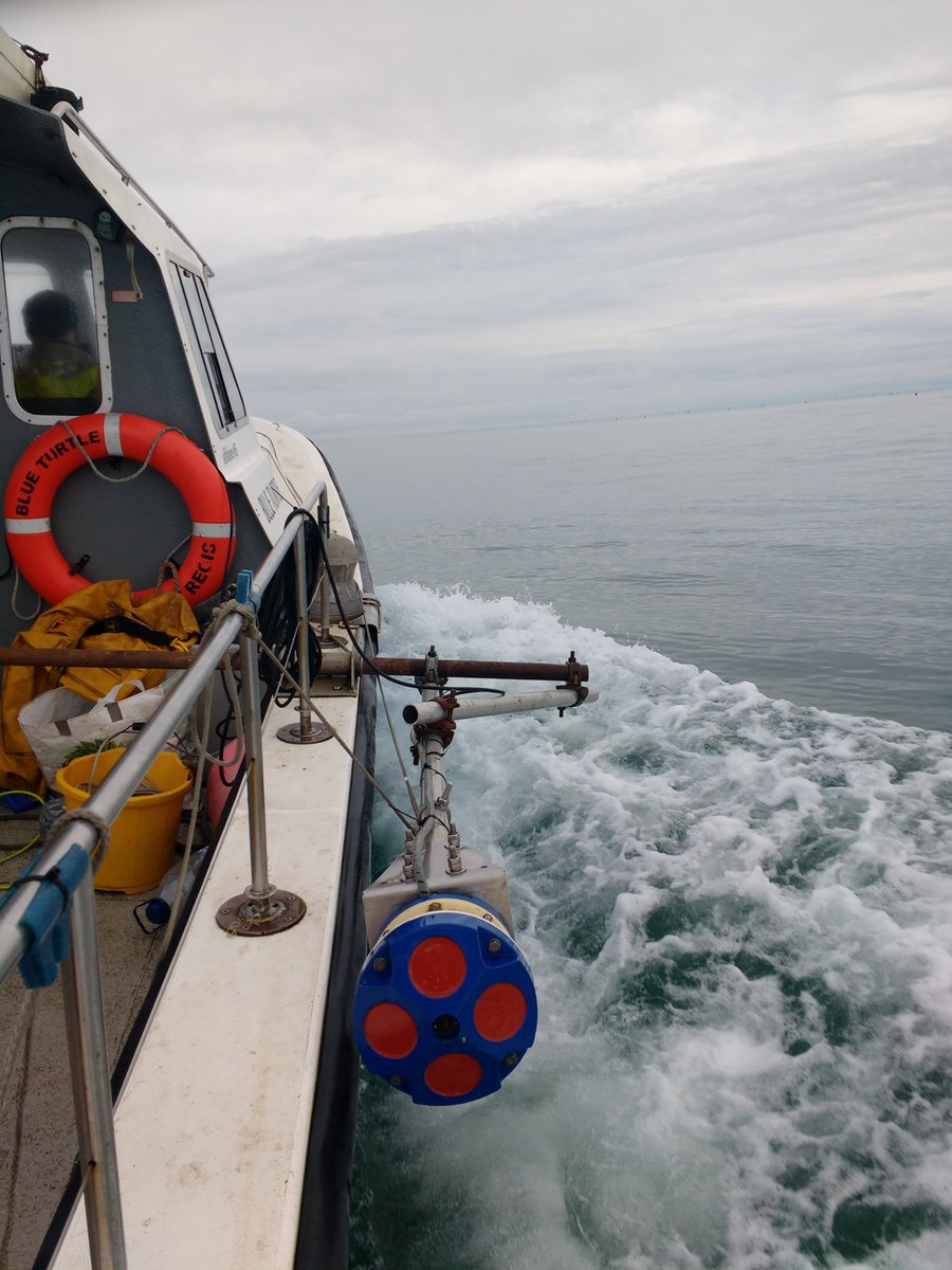LluciaMascorda's tweet photo. The team is back to Lyme Bay, this time with an ADCP to survey currents around @OffshoreShell mussel farm. Finally a spell of weather granting us these beautiful calm conditions! &lots of guillemots :) #HappyDays @PlymUni @LymeBay #FieldWorkRocks #phdlife https://t.co/xGDX2fRCK4