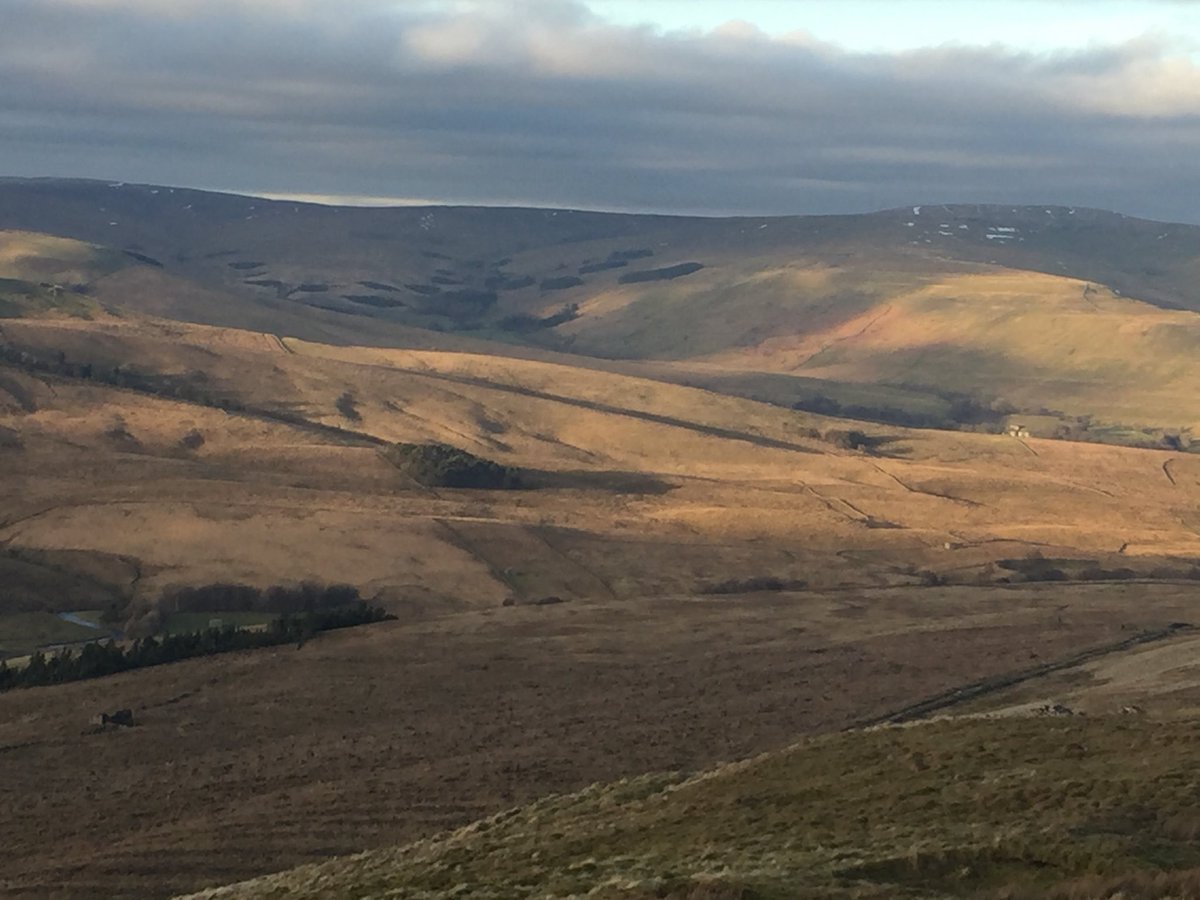 Calling all Pennine/Cumbrian rewilders. Am scouting for filming locations in January for initiatives on reforestation/reduced grazing as means of improving natural flood defences against run-off. Anyone up for it???