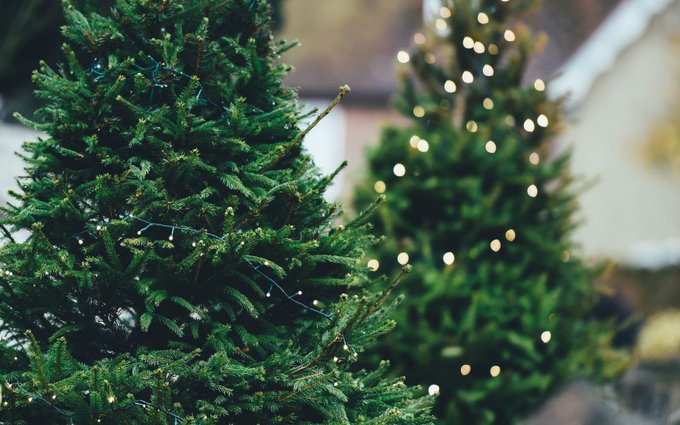 Уважаемые жители! По многочисленным вашим просьбам 🌲 Ёлочный базар в рабочем поселке Вешкайма начнет свою работу раньше запланированного срока - ❗ с 18 декабря.
#Вешкаймскийрайон
#Ульяновскаяобласть