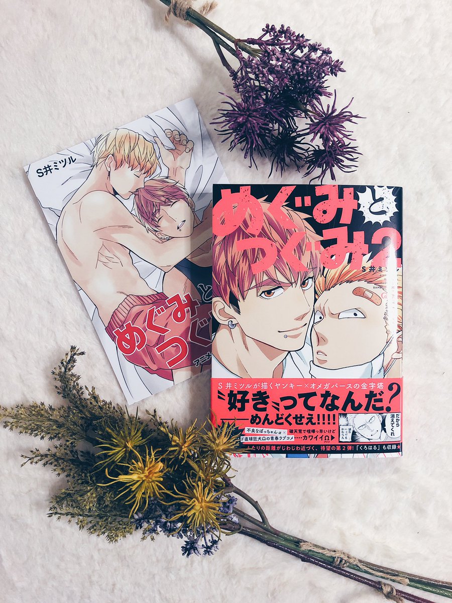 めぐみとつぐみ2