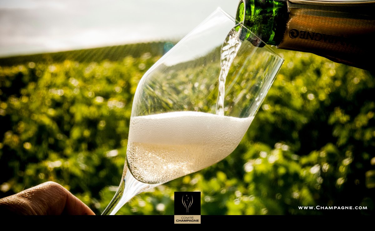 Champagne's tweet photo. 🎁 | D-8 | 🎄
We kindly remind you : "Champagne only comes from Champagne, France." 🍾 That is to say sparkling wines can only be called Champagne if wines are coming from the Champagne region. 📍
To know more: https://t.co/RCot9y4NoK https://t.co/fPh6vevKXD