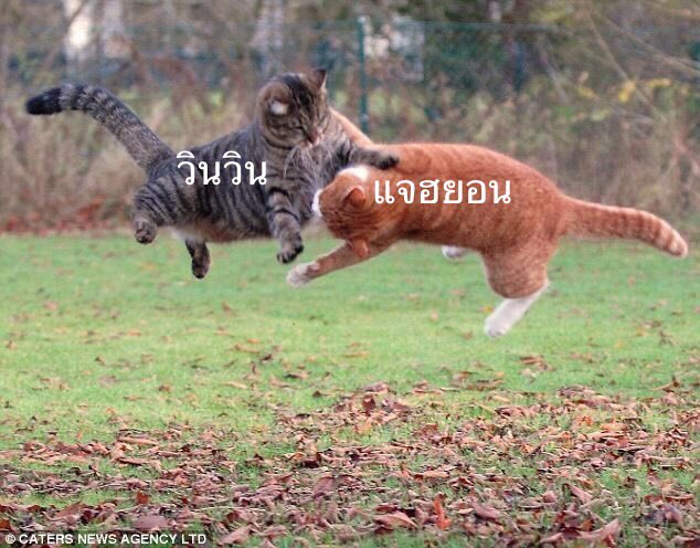 ศึกแห่งศักดิ์ศรี97ไลน์ มาดูกันว่าใครจะได้ไปบ้านเตนล์ก่อน