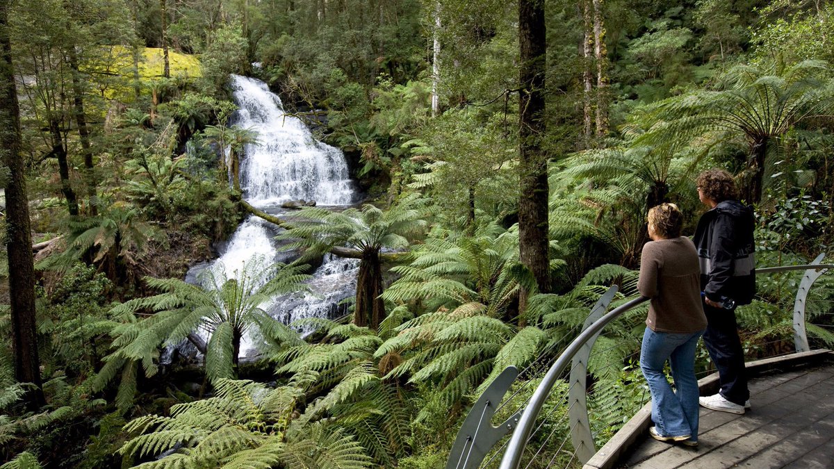 Melbourne_in's tweet photo. Be inspired and get active in the alpine, desert, forest, coastal, outback and urban landscapes of the 100-plus parks and reserves around Melbourne. Know more: https://t.co/5AqFpvvPhB https://t.co/fupABGM4IC