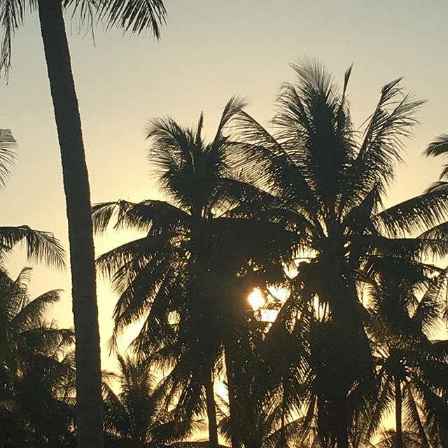 That’s a wrap, we say goodbye to Thailand and the creative spectacle that is #wonderfruitfestival!
.
.
.
.
.
.
#cruevents #wonderfruit2019 #wonderfruit #wonderfruitfest #thailand #sunset #thaisunset #palmtrees #food #foodevent #cateringevent #cateringser… ift.tt/2YYpOko