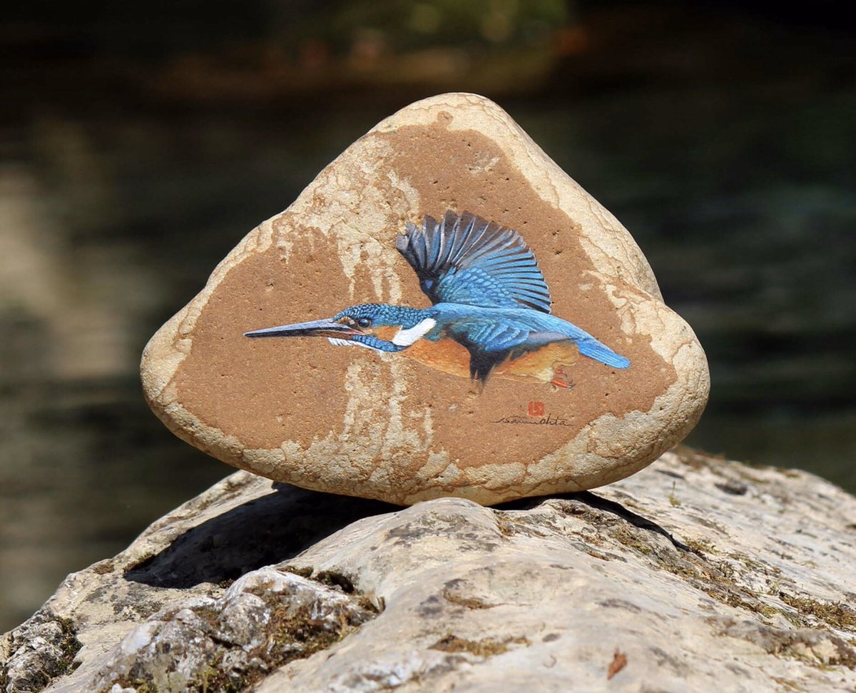 石周斎 石に描いたカワセミ カワセミ 野鳥 バードウォッチング ロックペィンティング ストーンペィンティング 石アート 石画 石絵 石周斎 石に描いたカワセミ カワセミ 野鳥 バードウォッチング ロックペィンティング ストーンペィンティング 石アート 石画 石絵