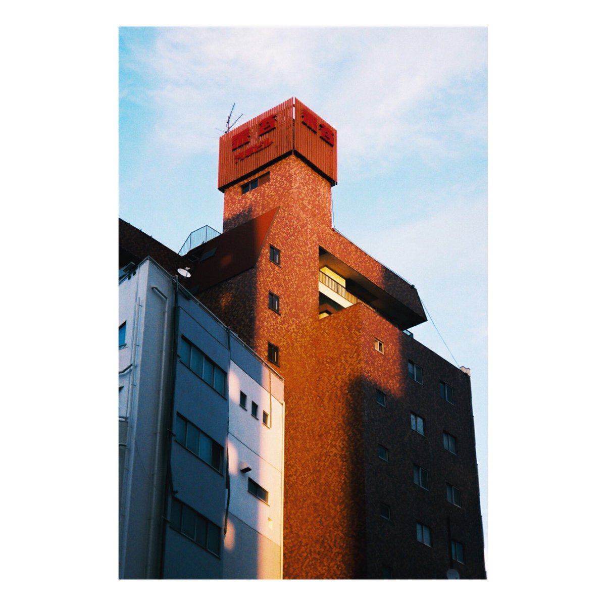 koty___'s tweet photo. #filmphotography  #film #フィルム #フィルムカメラ #フィルム写真 #coregraphy #my35mm https://t.co/oVWqSvG3DA