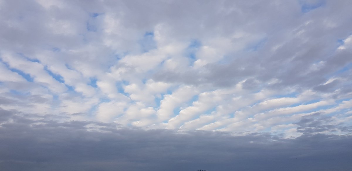 KDTynaarlo's tweet photo. Vast ook weer zo'n wolkenlucht waar Gerrit een mooie naam voor heeft. https://t.co/krqMX6Hk7R
