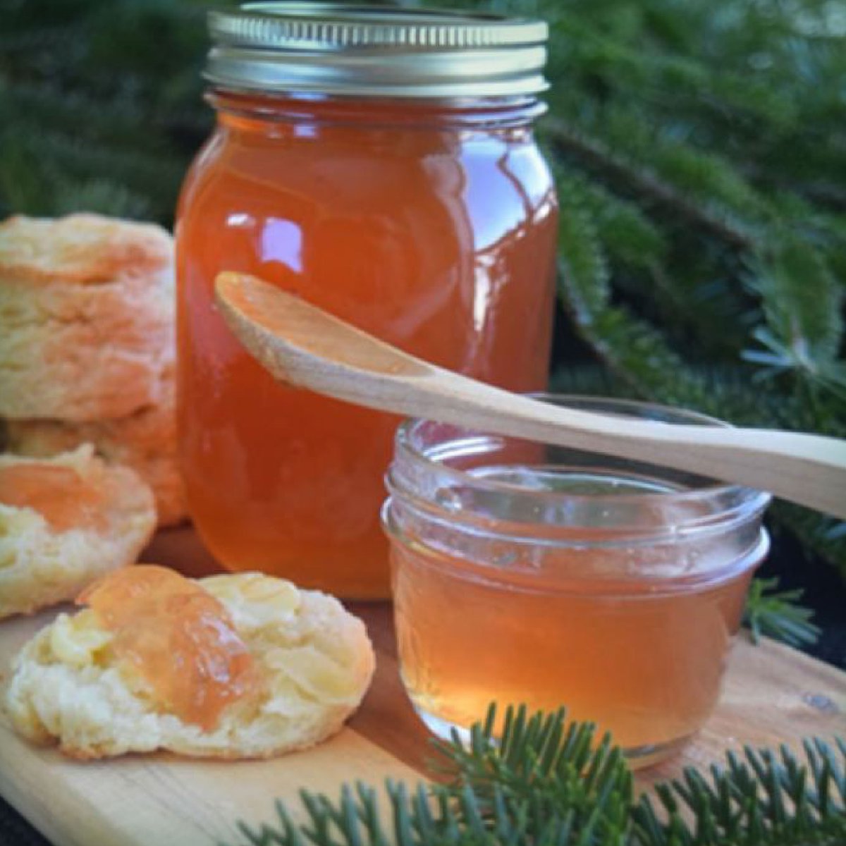 Select Nova Scotia (@selectns) on Twitter photo Possibly the most unique holiday recipe we’ve ever seen. But it is fantastic! Try <a href="/thekiltedchef/">Joshua Love</a> BALSAM FIR JELLY. selectnovascotia.ca/recipes/balsam… Possibly the most unique holiday recipe we’ve ever seen. But it is fantastic! Try <a href="/thekiltedchef/">Joshua Love</a> BALSAM FIR JELLY. selectnovascotia.ca/recipes/balsam…