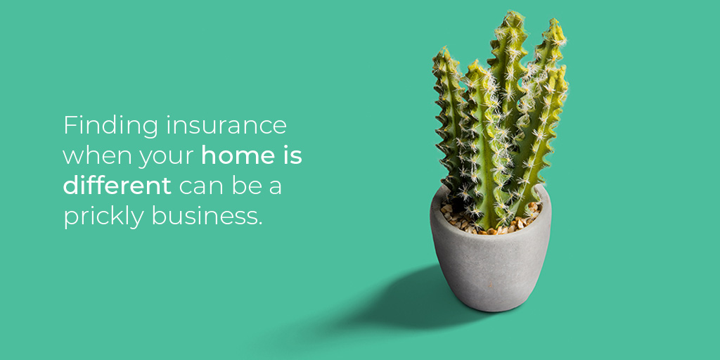 Renewing your policy doesn't have to be prickly.

At every renewal, we'll check to make sure your rate is still competitive.

We do the hard work, so you don't have to!

bit.ly/2IulgNW
#insurancebroker #personalinsurance #businessinsurance