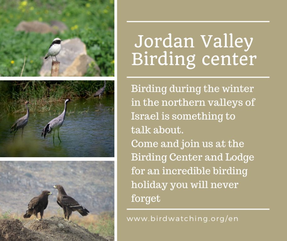 Jordan Valley Bird watching center tweet media