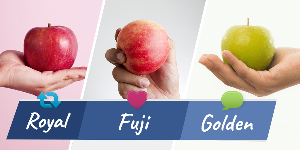 CarrefourES's tweet photo. Todos tenemos una favorita 🍎🍏... ¿cuál es la tuya? 🤔

RT 👉 Manzana Royal

FAV 👉 Manzana Fuji

Comenta 👉 Manzana Golden

Encuéntralas todas en nuestro súper online 👉 https://t.co/z1gdTaZksM https://t.co/N9h7tFHe8W