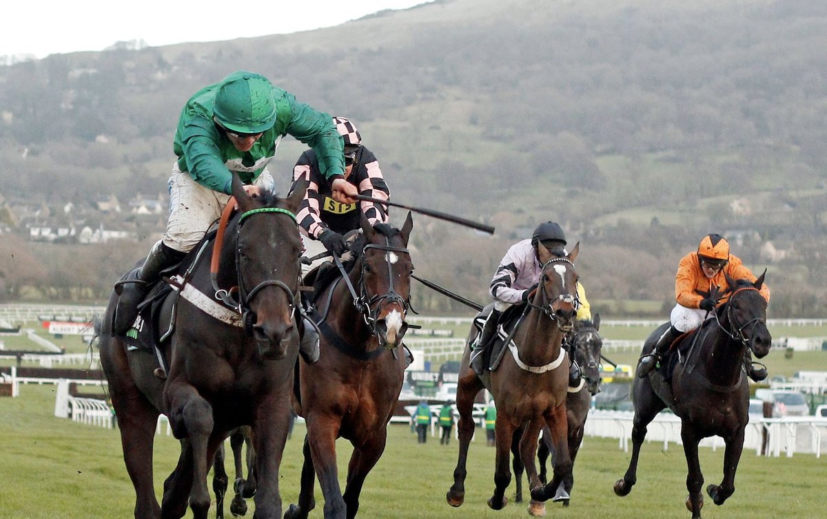 James Bowen Cheltenham James Bowen Cheltenham