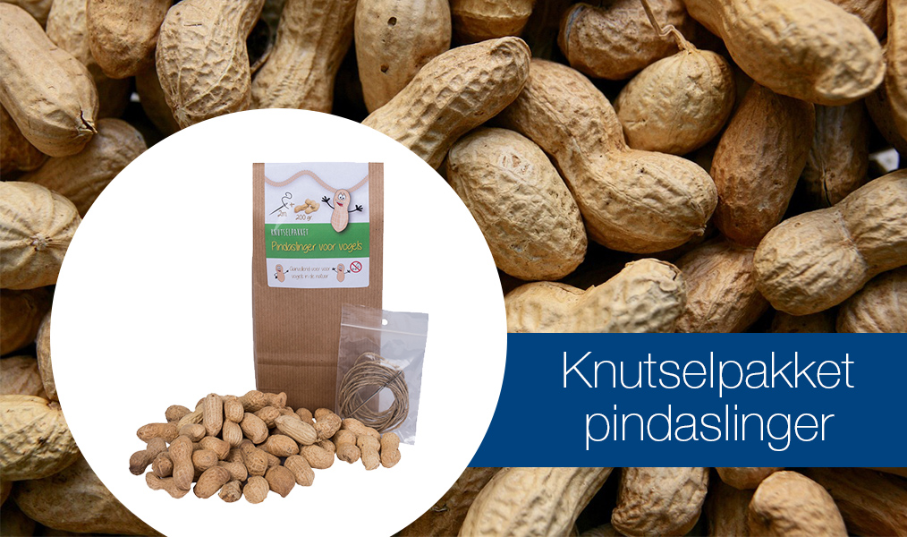 Verras uw gasten extra voor de feestdagen met het Pindaslinger Knutselpakket. Een leuke activiteit voor uw jongste gasten.

Bestel gemakkelijk via de webshop: ow.ly/VS8o50xC5e9

Het pakket nog voor de kerstvakantie binnen hebben? Bestel deze dan uiterlijk woensdag 17 dec.