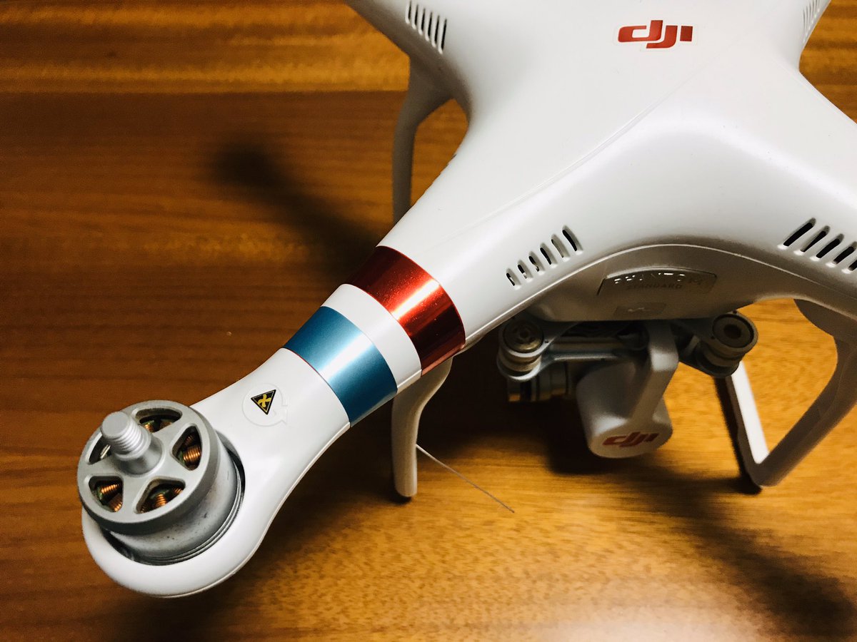 相棒にもオシャレを☺️