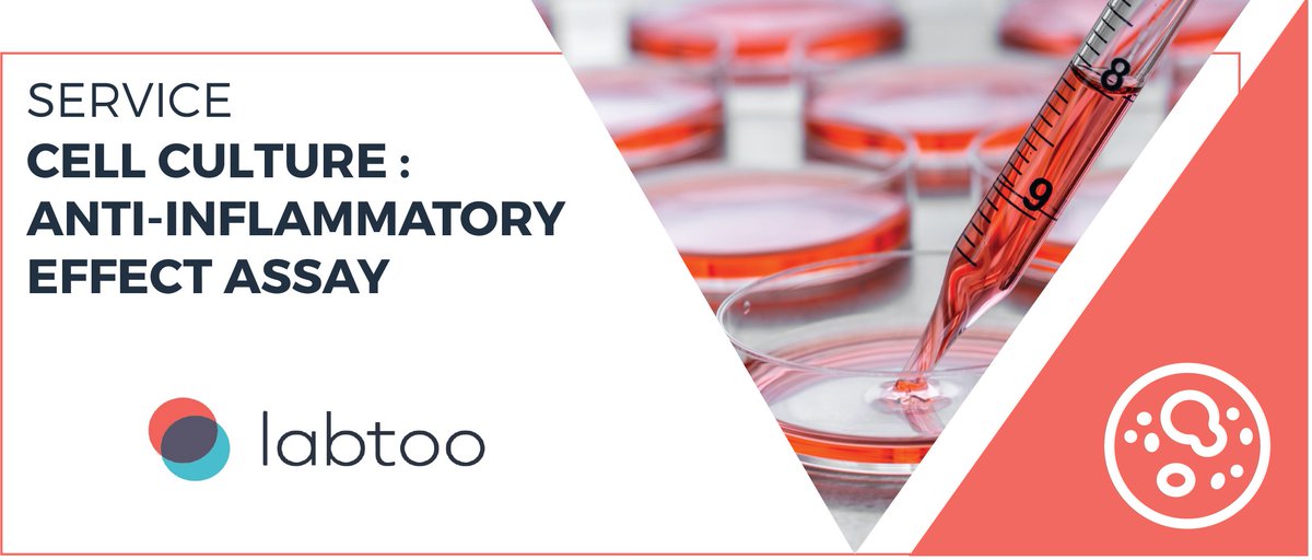 📌 Focus on one of our expertise :

Two types of anti-inflammatory effect assays are possible: a cell test of the activity of the NFkB promoter, and a cell test measuring inflammation markers (cytokines).

Order your  tests on Labtoo ⬇️
ow.ly/gk5k50xBSVR

<a href="/SelvitaKrakow/">Selvita</a>