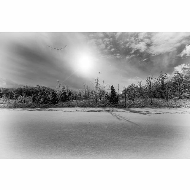 #fineart #monochrome #blackandwhite #fineartphotography #fstoppers #bnwphotography  #photooftheday #photography #bnw_drama #fineartzone #bnwmood #bnw #bnw_artstyle #bnw_magazine #bnw_greatshots #bnw_souls #bnwminimalismmag #bnw_zone #nature #winterphotog… ift.tt/34vnt16