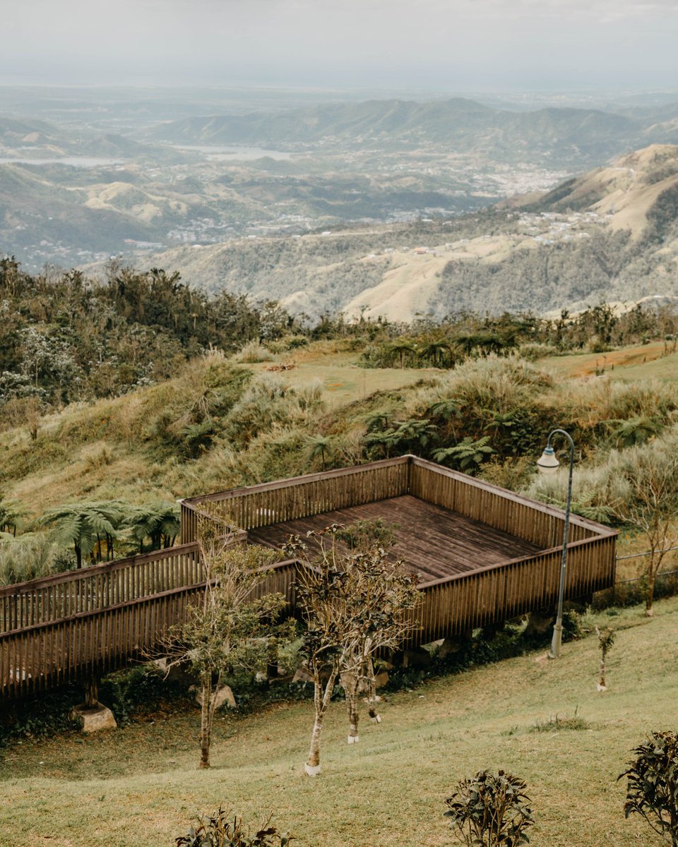 localguestpr's tweet image. Keep exploring #LocalGuest