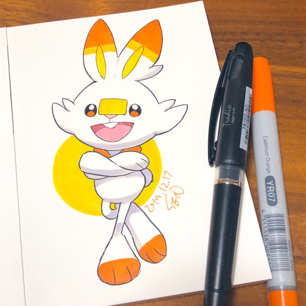 SEN1227's tweet photo. ヒバニー🐰 #ポケモン剣盾 #pokemonsw https://t.co/hS3m8mpNsJ