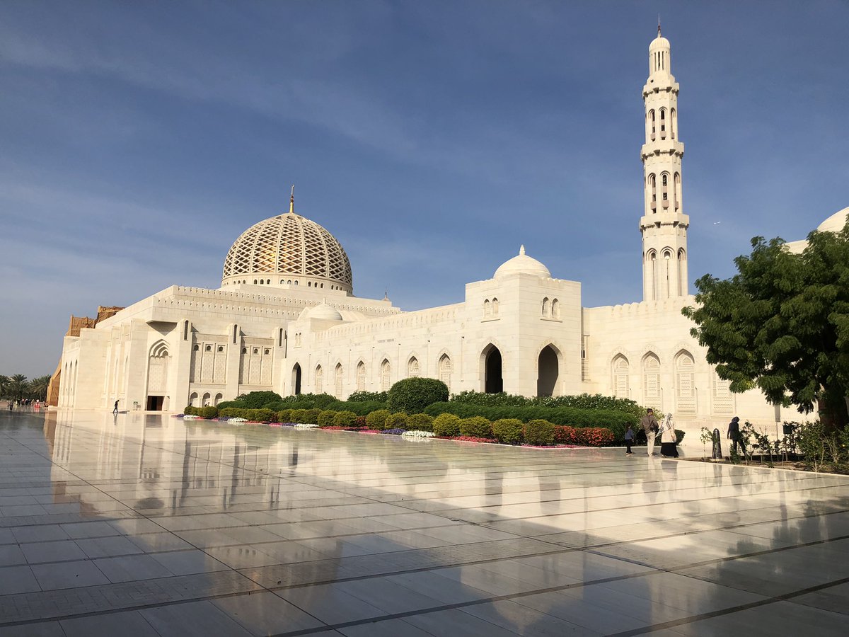 MartinsonUk's tweet photo. #beautifulmuscat https://t.co/oVlAXPq2T0