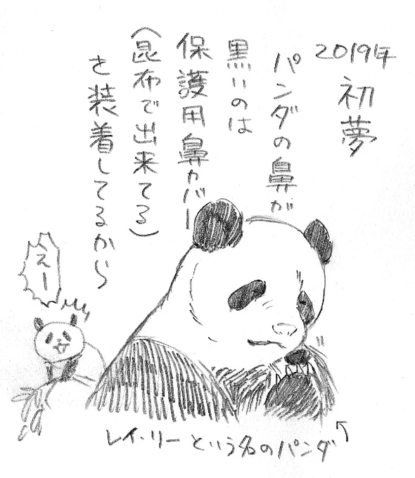 #2019自分が選ぶ4枚パンダ編
今年もシャンちゃんに会いにいけてうれしかったし、(寝てたけど)あと、旅行先の長崎のホテルのロビーで、シャンシャン変換延長のニュースみて奇声を発して訝しがられた思い出・・ 