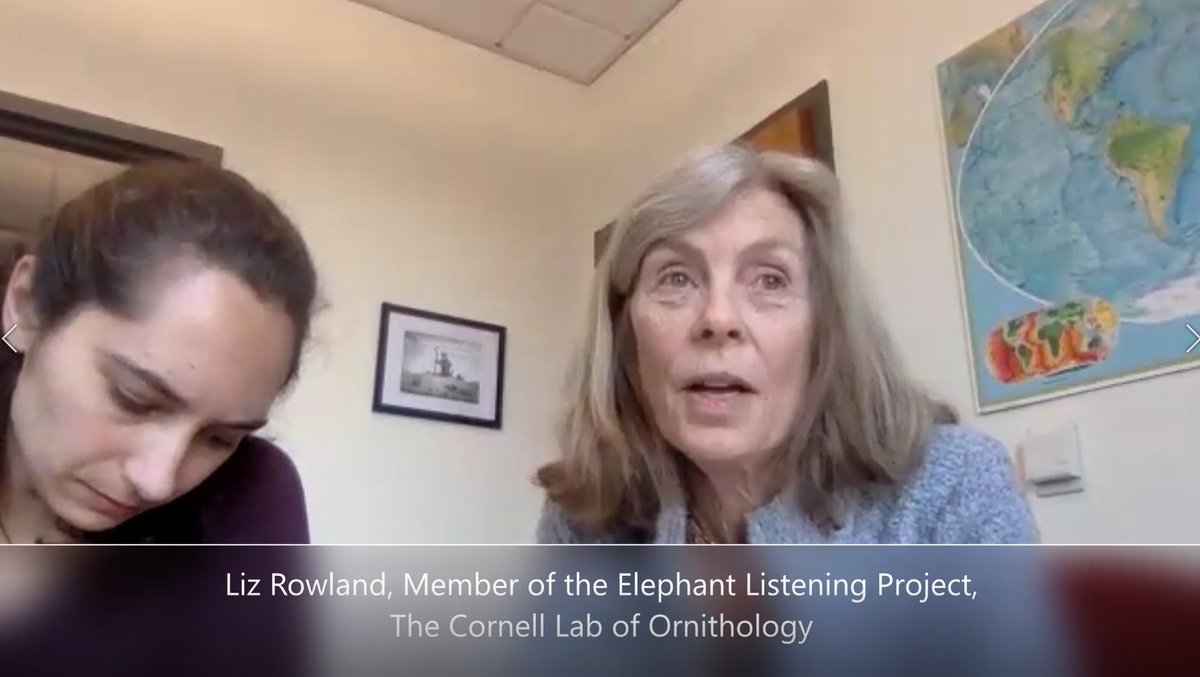wildflyingpanda's tweet photo. Our Sound Reporting Co-lab co-organised two epic hangouts with @CornellBirds scientists to chat about how 'sound' helps us understand the world and with @NPR's @michaelemay and @HitManPod's @jasmyn_morris about launching powerful podcast series. Tune in👉https://t.co/3pMp5CdlL9 https://t.co/ET59lBXFUS