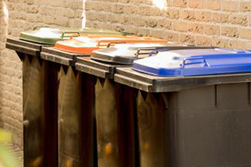 Bio4Pack tweet media