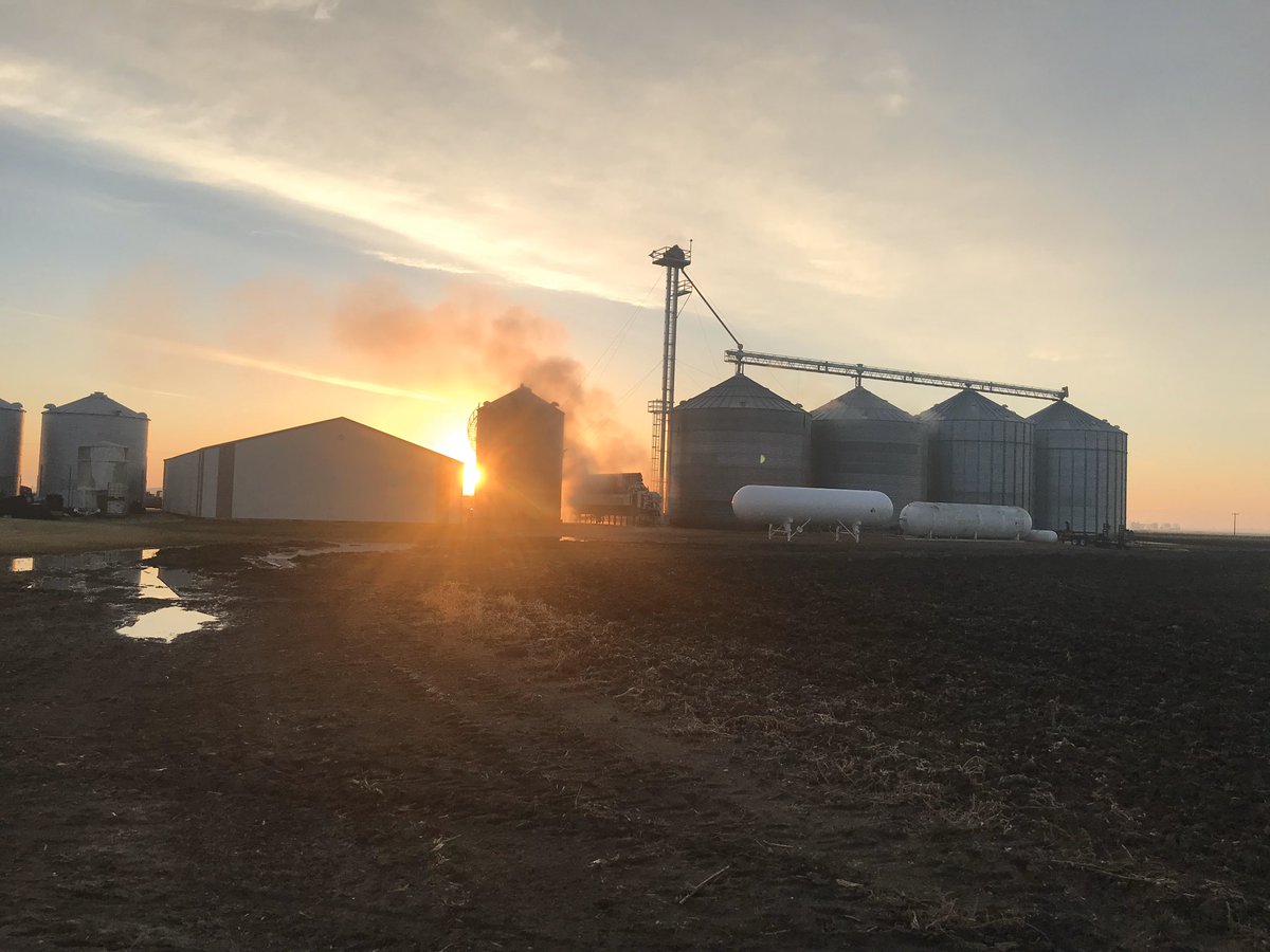 Dane Braun tweet media