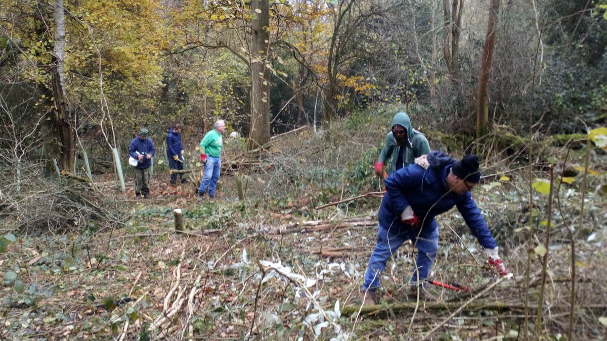 TCVCroydon's tweet photo. On Wed &amp; Thurs this week we will be back in this winter’s Hazel coppice coup in Devilsden Wood in Happy Valley. Come and join us. 

Minibus pick up is on Altyre Road at 9.30am or meet us at the Ditches Lane car park on Farthing Downs at 9.50. https://t.co/RH70zIISyu https://t.co/URT03qVSaQ