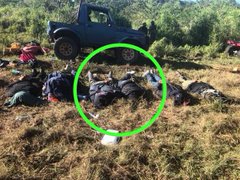 Ver imagen en Twitter