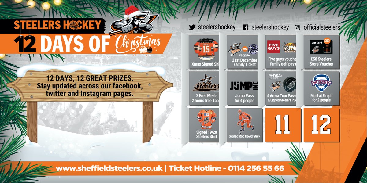 steelershockey's tweet photo. 🎄 Day 10 of Christmas 🎄

WIN: Signed Robert Dowd stick 

TO ENTER: Simply follow us and send in a picture of you in your Steelers jerseys 

#XmasSteelers | #BleedOrange 🍊 https://t.co/Ymx179JCop