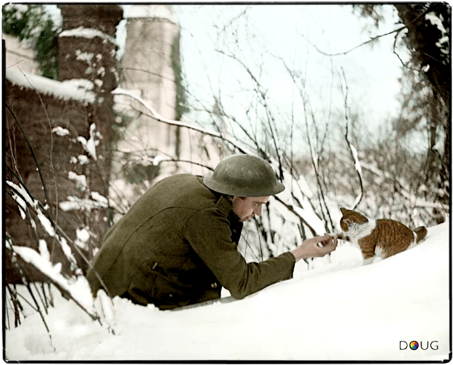 Dec 17 1917 IWM (Q 6400) “A British soldier (Army Service Corps?) ‘shaking hands’ with a kitten on a snowy bank, Neulette” Another photo taken a few seconds earlier IWM (Q 6399) both originals taken by John Warwick Brooke 1917-12-17
Colourised by Doug UK 

iwm.org.uk/collections/it…