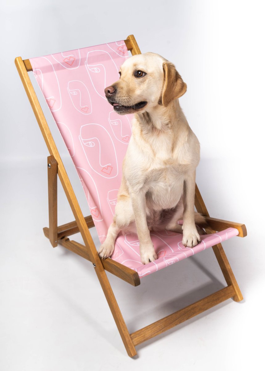 Giant Deckchairs & Friends tweet media