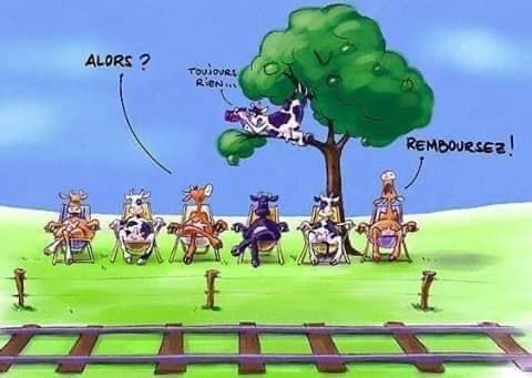 UsagersSNCF's tweet image. Dessin de #circonstance @udupc14 @vernon45 @OuestFrance @CborNormandie @tibo_0 @paris_normandie @AisneNord @RevoltesLigneJ @uvn_fnaut @FNAUT_fr @GranvilleParis @GaresSos @SuccabEric @LhCdb