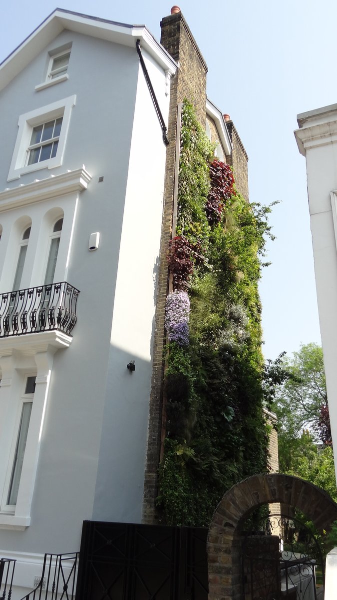 greenspacescot's tweet photo. #greenadvent Day 18: Greenspaces are our towns and cities green lungs. Greenspaces are climate resilient spaces- even in the nooks and crannies. @ConnectingNBS @GIPartnership @ScottishGIF
#greenspace #parks
#AdventCalendar
#greenwall https://t.co/Uc9chwjTT1