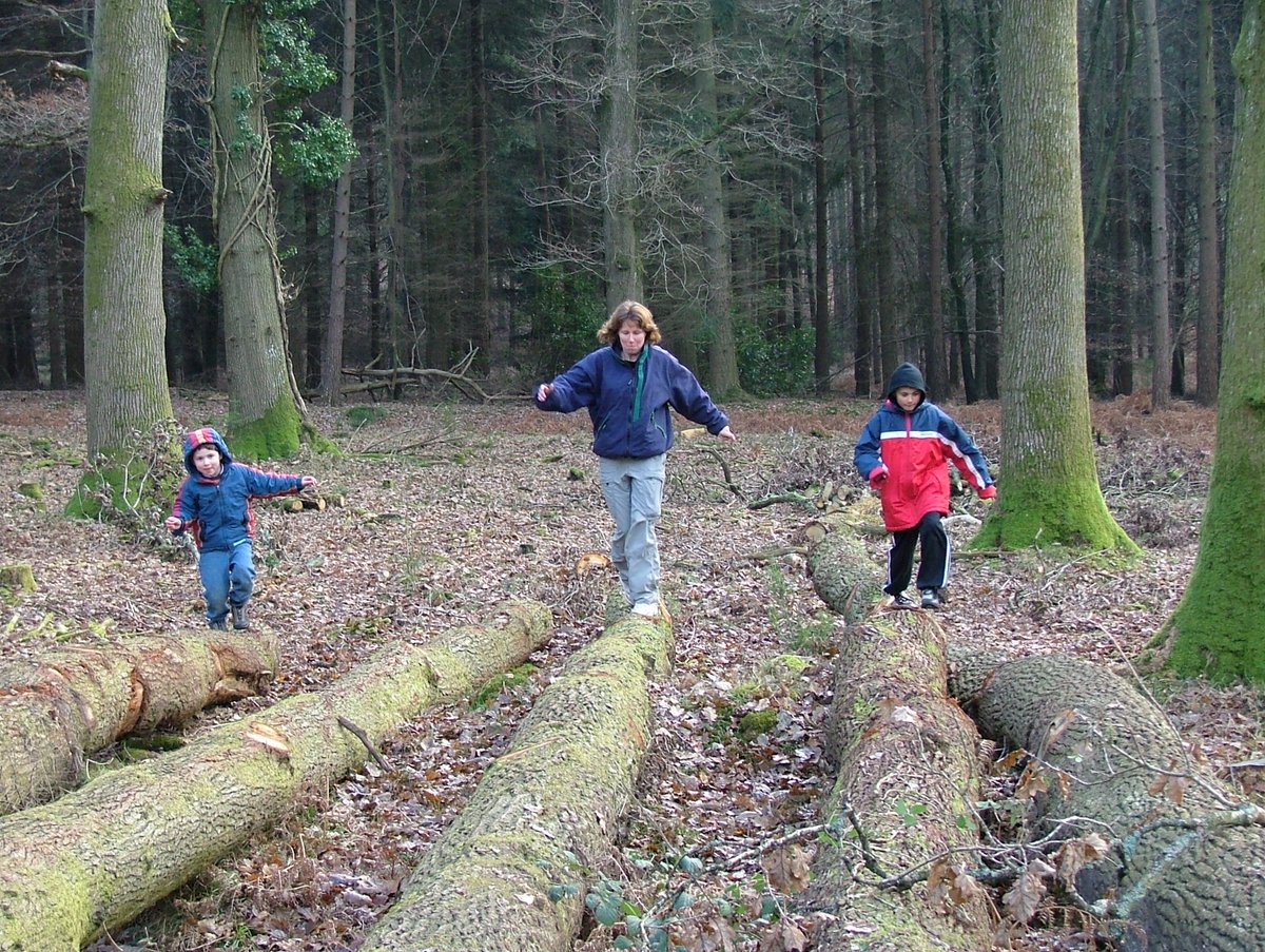 greenspacescot's tweet photo. #greenadvent Day 22: What did you discover the last time you went outdoors? Greenspaces are spaces for exploring
#greenspace #parks
#AdventCalendar
#explore #getoutdoors https://t.co/4F199FKgUm