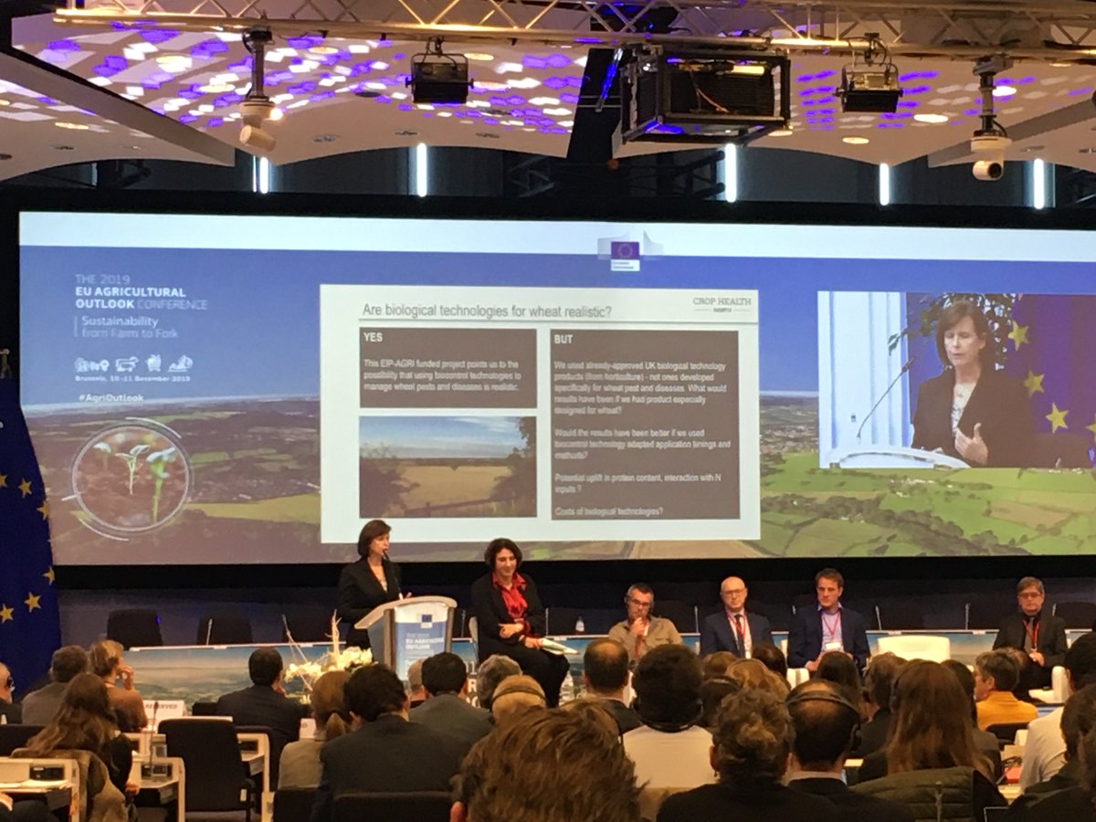 IBMAgl's tweet photo. #AgriOutlook R.Gwynn: Yes, #biocontroltechnologies are realistic for #wheat. #EIPAGRI project @EIPAGRI_SP #crophealthnorth
points us to this possibility tomanage wheat pests & diseases.-#Biocontrol is becoming a reality in #arablecrops too. #sustainableagriculture #greentools1st- https://t.co/poMcswWpd4