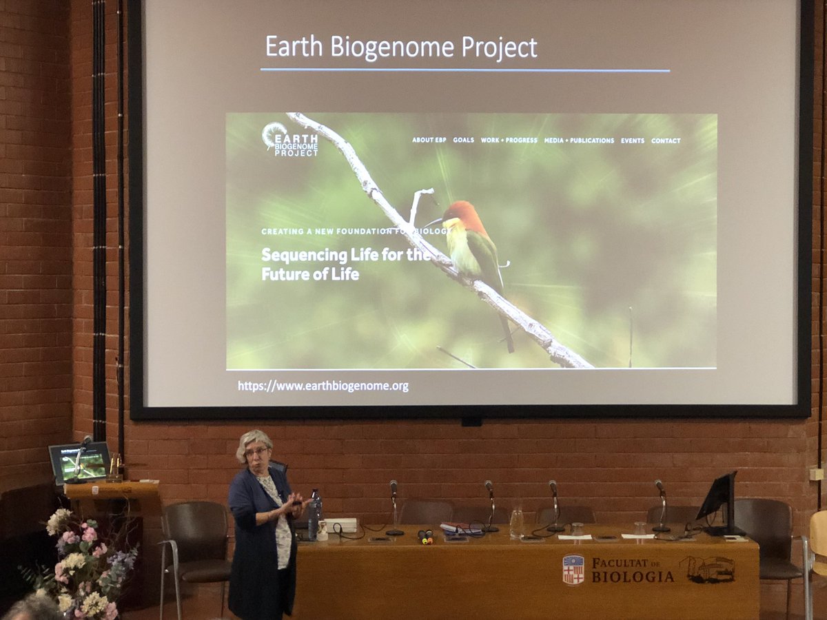 IRBioUB's tweet image. Na Marta Riutort @RiutortLab @GeneticsUB ens planteja com els projectes biogenoma 🧬 poden contribuir a la recerca i la gestió en el context de la biodiversitat 🐛🐺🦅🌳🐝🕷🌿🐠🦂🌱🐡🦆 i canvi global🌎🌍🌏.

#EarthBiogenomeProject #ClimateChange #Genome