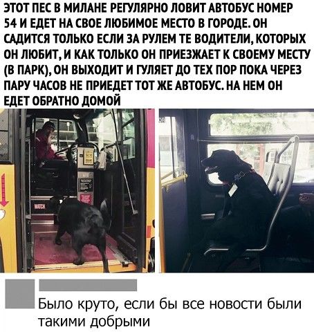 Невероятно, но Факт! (@best_fact) on Twitter photo 
