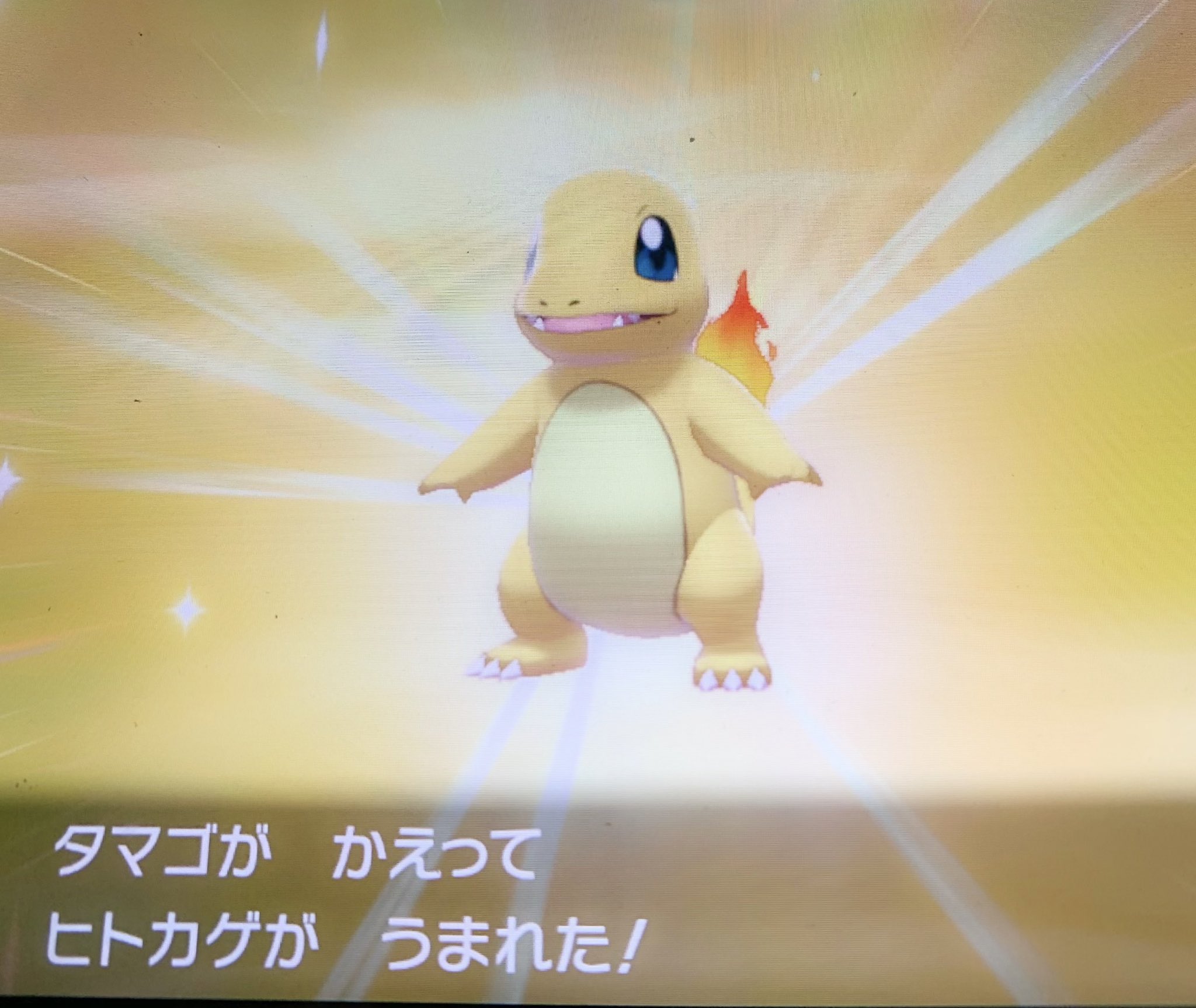 エラー ちゃんかや 色違いヒトカゲが産まれたから早速リザードンにしてやったぜ 金色から黒くなった ポケモン剣盾 T Co Thw9qivmre Twitter