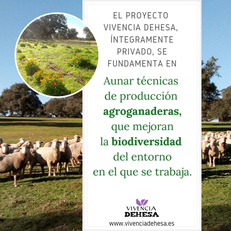 Vivencia_dehesa's tweet photo. 🍃 https://t.co/29aQjrjNSh 🍃 https://t.co/FRqs6c5hNH
