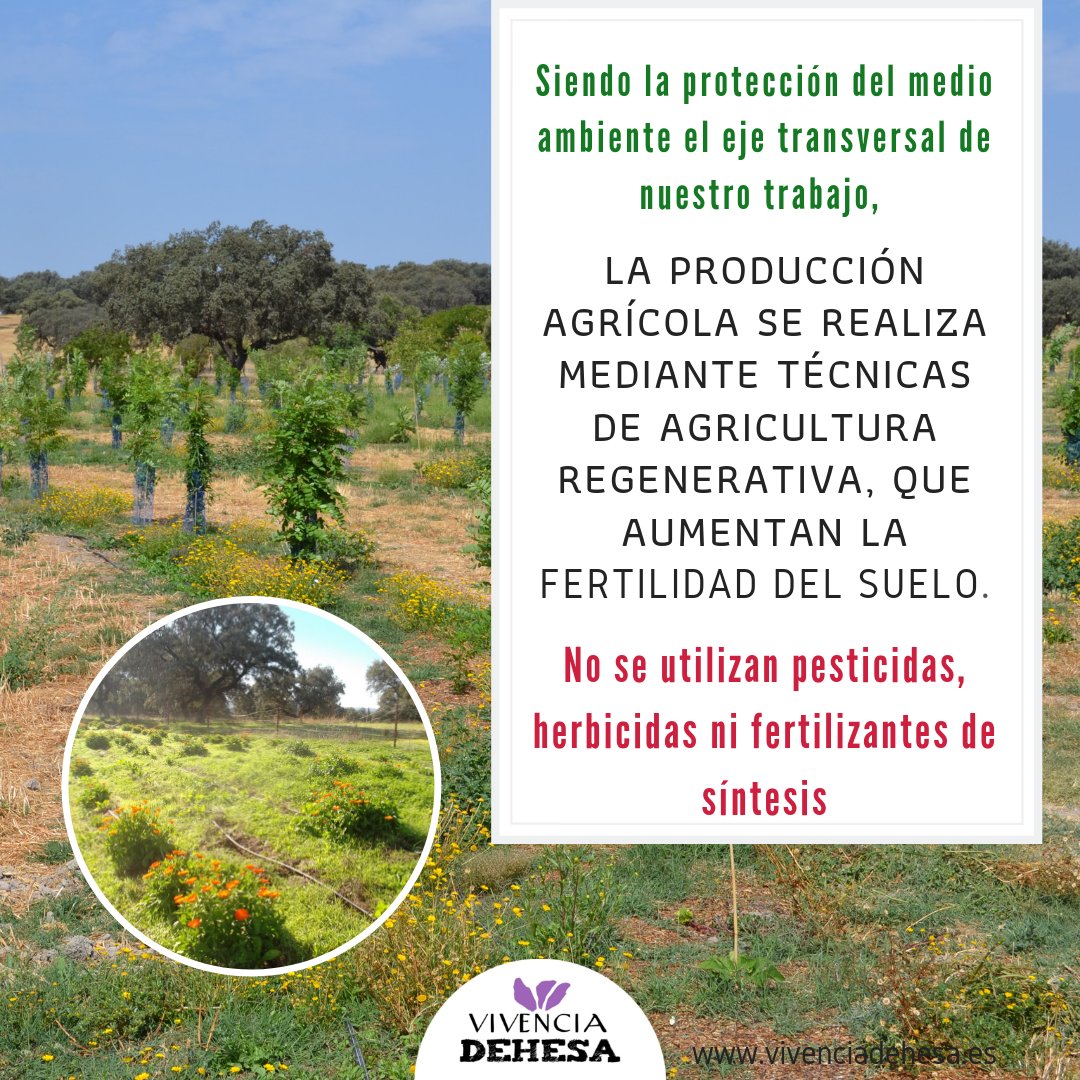 Vivencia_dehesa's tweet photo. 🍃 https://t.co/29aQjrjNSh 🍃 https://t.co/FRqs6c5hNH