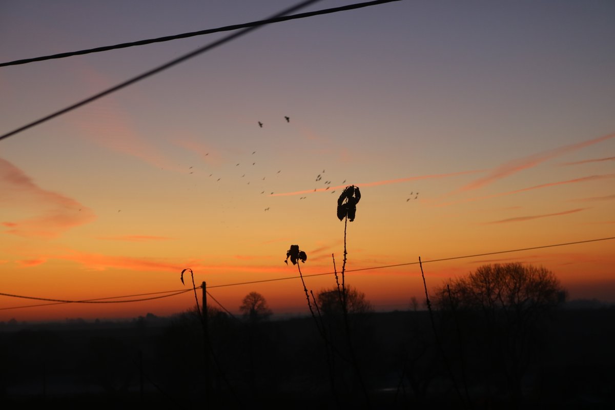CreateBizWeb's tweet photo. Off to #Peterborough this morning for a @4nhq breakfast meeting 

#networking #business #BuzzingBeeMedia #Cambridgeshire #webdesign #webcreator 

https://t.co/NhCiCRJusJ https://t.co/AbaRlNfIqy